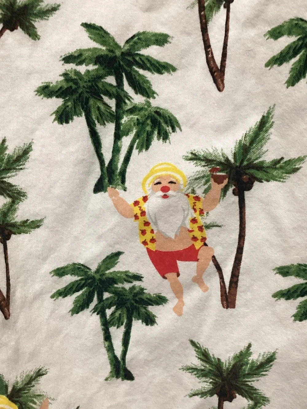 Denim and Flower Youth Tropical Palm Tree and Santa Short Sleeve Shirt